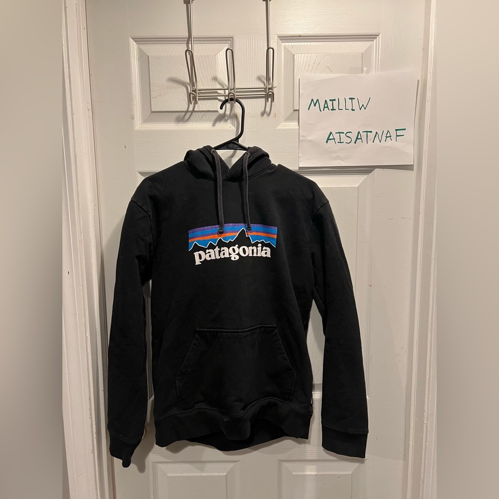 Patagonia Logo Hoodie